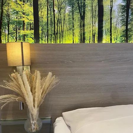 Scheid Hotel Schriesheim