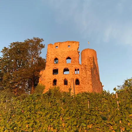 Scheid 3*