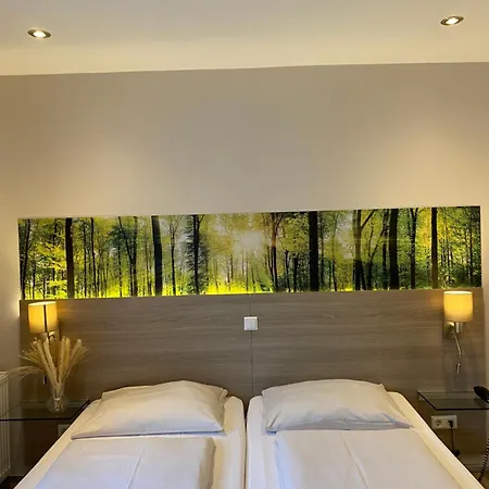 Scheid Hotel 3*