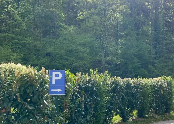 酒店 施呃德酒店 3*